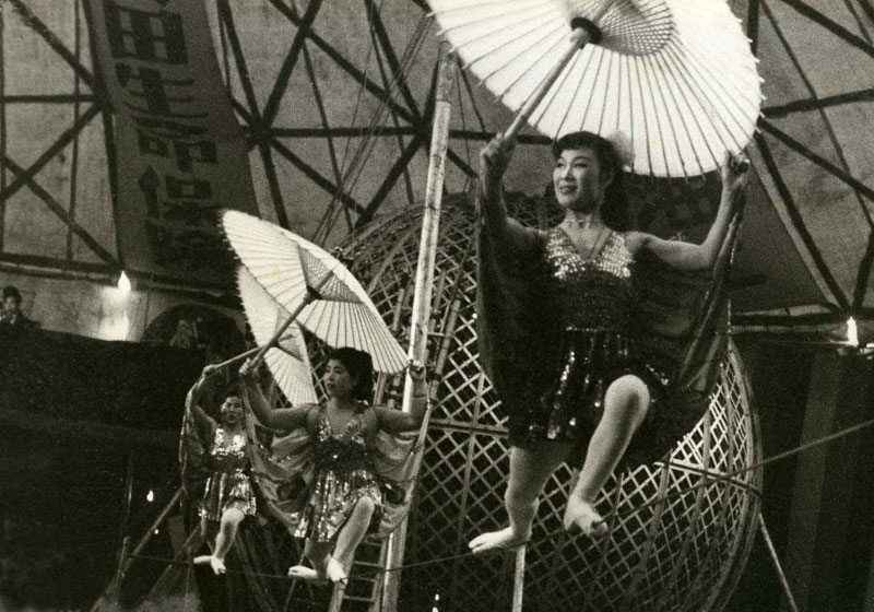 シバタサーカス　1958画像