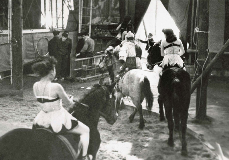 ゴールドサーカス 1958画像