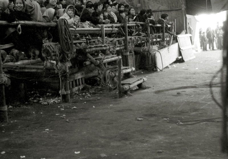 サーカス桟敷の画像